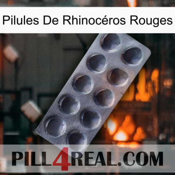Pilules De Rhinocéros Rouges 30